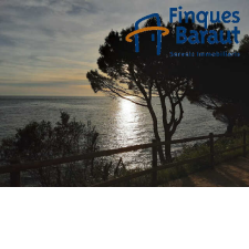 Imagen 4 producto 1839