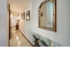 Imagen 7 producto 2081