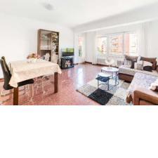 Imagen 6 producto 500640